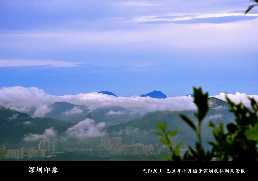 燃烧吧大脑免广告最新版