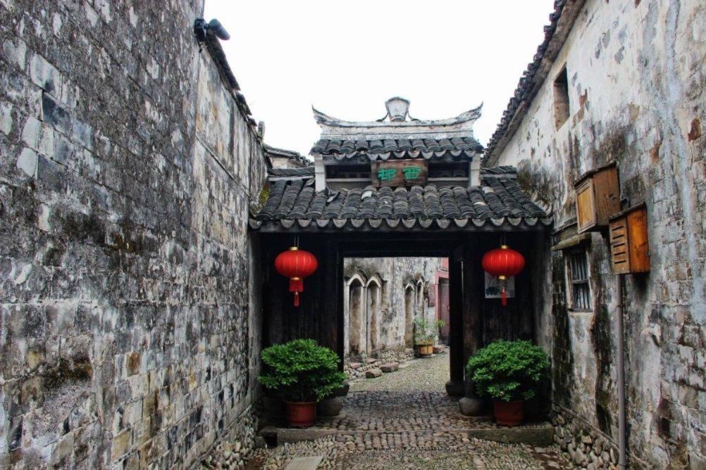 拯救枯树